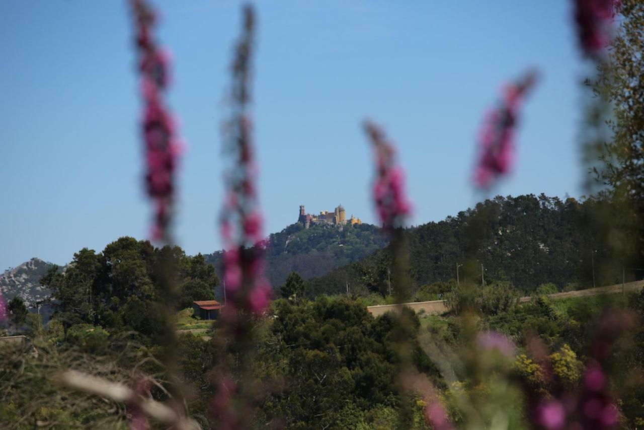A House In The Woods Sintra Exterior foto