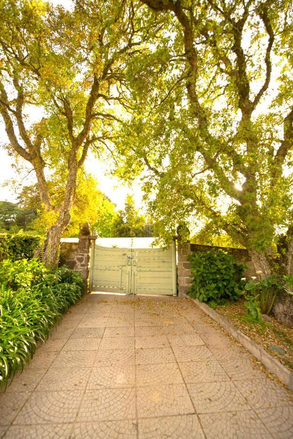 A House In The Woods Sintra Exterior foto