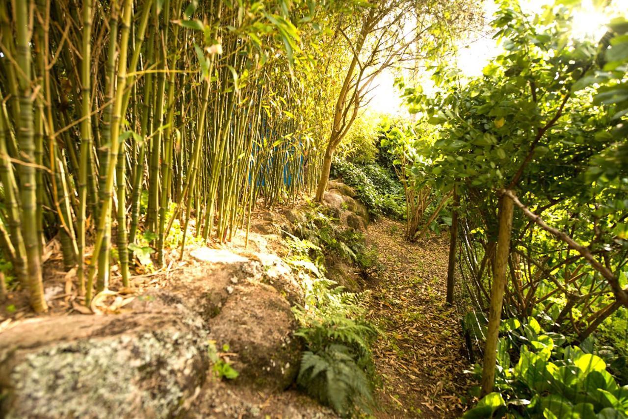 A House In The Woods Sintra Exterior foto